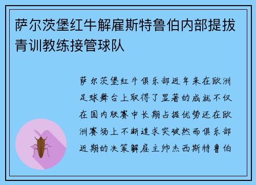 萨尔茨堡红牛解雇斯特鲁伯内部提拔青训教练接管球队